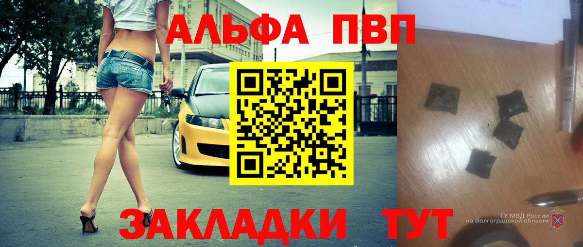 Alfa_PVP СК КРИС Кемерово