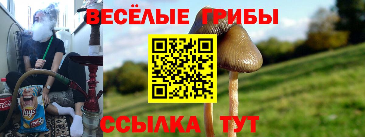 Кемерово  Галлюциногенные грибы Magic Shrooms  Галлюциногенные грибы мицелий  Вход с VPN 