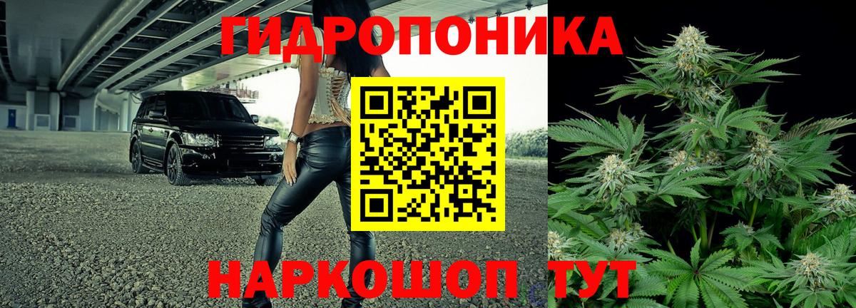 Кемерово  Бошки марихуана индика  Вход с VPN  Бошки марихуана индика  Канабис OG Kush  Канабис конопля 